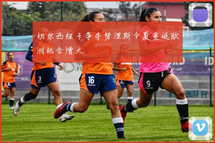 切尔西纽卡争夺努涅斯今夏重返欧洲机会增大