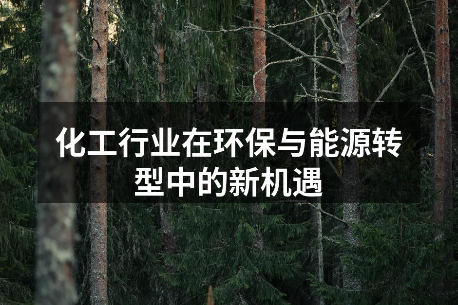 化工行业在环保与能源转型中的新机遇